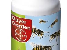 Bayer Garden: Win de oorlog tegen wespen