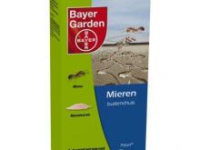 Bayer Garden: 3 tips voor een miervrije zomer