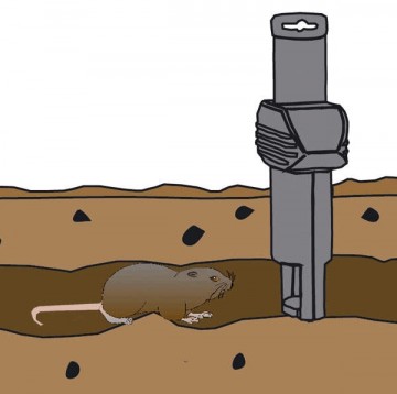 Woelmuizen- woelratten en mollenval SuperCat