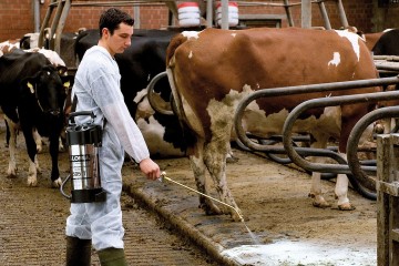 Gloria Hogedrukspuit RVS 505T Profiline - 5 liter