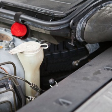 Marterverjager voor auto's Windhager