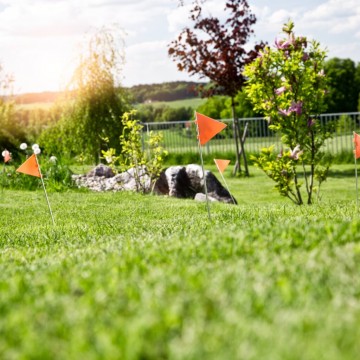 Markeringsvlaggen voor mollen- en woelmuizenvallen (5 stuks) Windhager