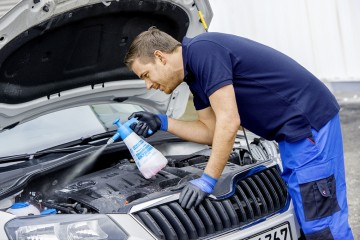 Drukspuit Gloria CleanMaster Extreme EX100 - 1 liter