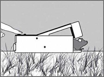 Muizenval (levend vangende) SuperCat