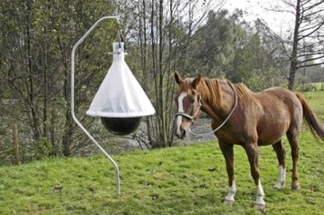 Dazenval TaonX compleet