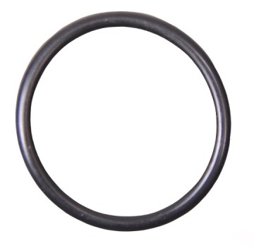 O-ring om pomphuis voor hogedrukspuiten (Ø 38 x 5)