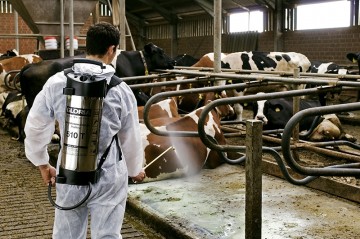 Gloria Hogedrukspuit RVS 510T Profiline - 10 liter