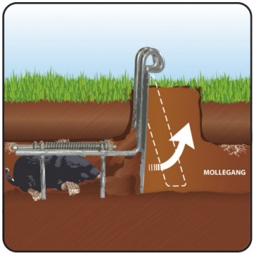 Mollenklem DUO gegalvaniseerd Luxan