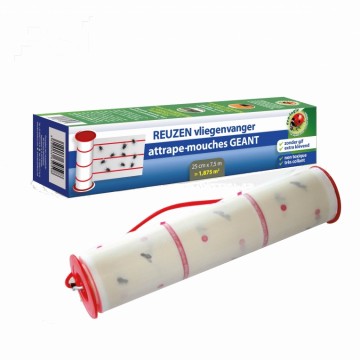 Reuzen-Vliegenvanger BSi