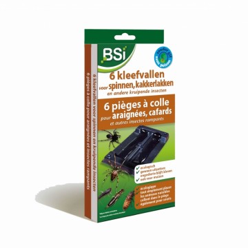 Lijmvallen voor spinnen en insecten BSi 6 stuks
