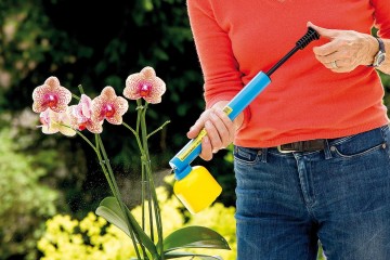 Flitspuit Floratop 208 Gloria - 0,3 liter