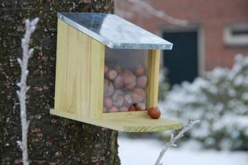 Voederhuis Eekhoorn Esschert