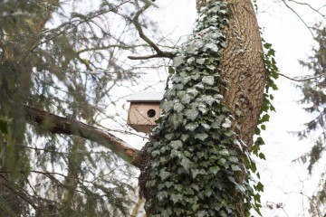 Eekhoornhuis Esschert