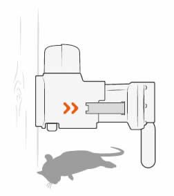 Goodnature® Automatische Ratten- & Muizenval set A24